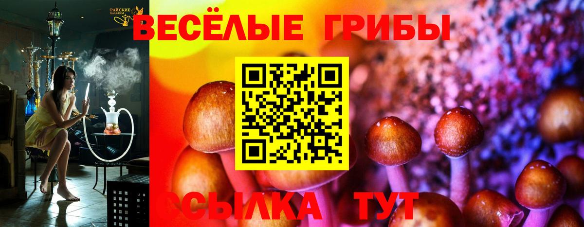 Псилоцибиновые грибы ЛСД  купить  цена  Сунжа  Вход с VPN 